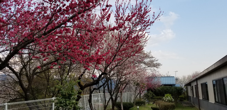 外観2